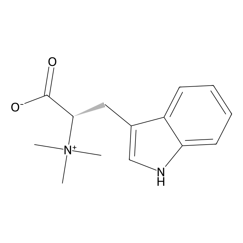 Hypaphorine