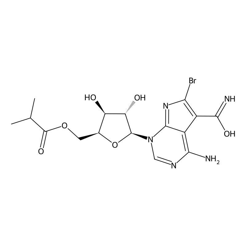 Ibulocydine