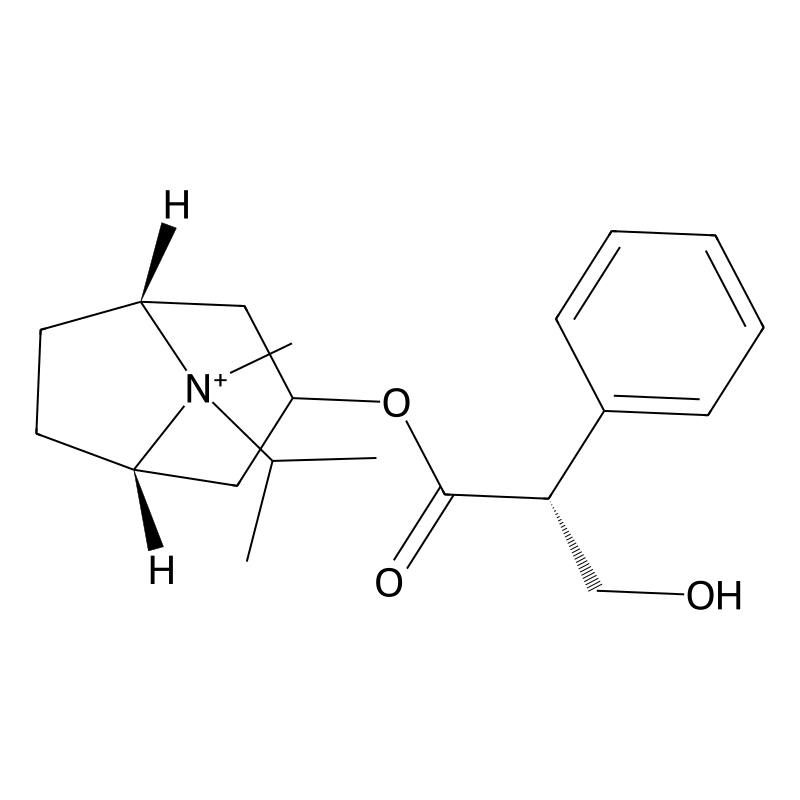 Ipratropium