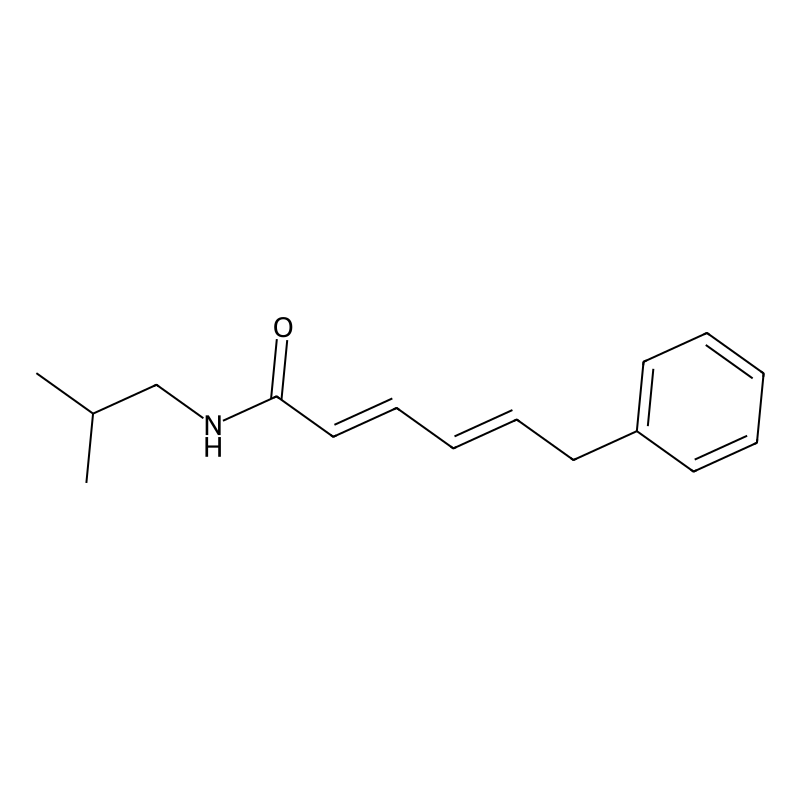 Isobutylphendienamide