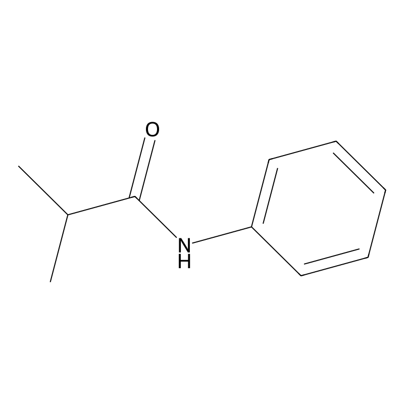 Isobutyranilide