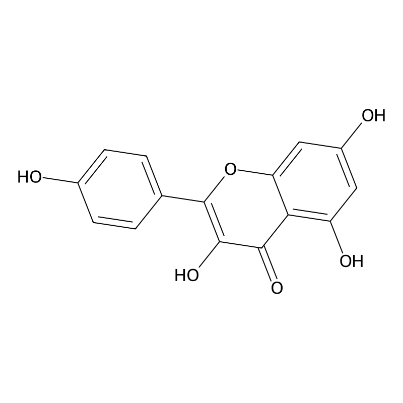 Kaempferol