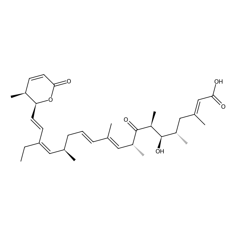 Leptomycin B