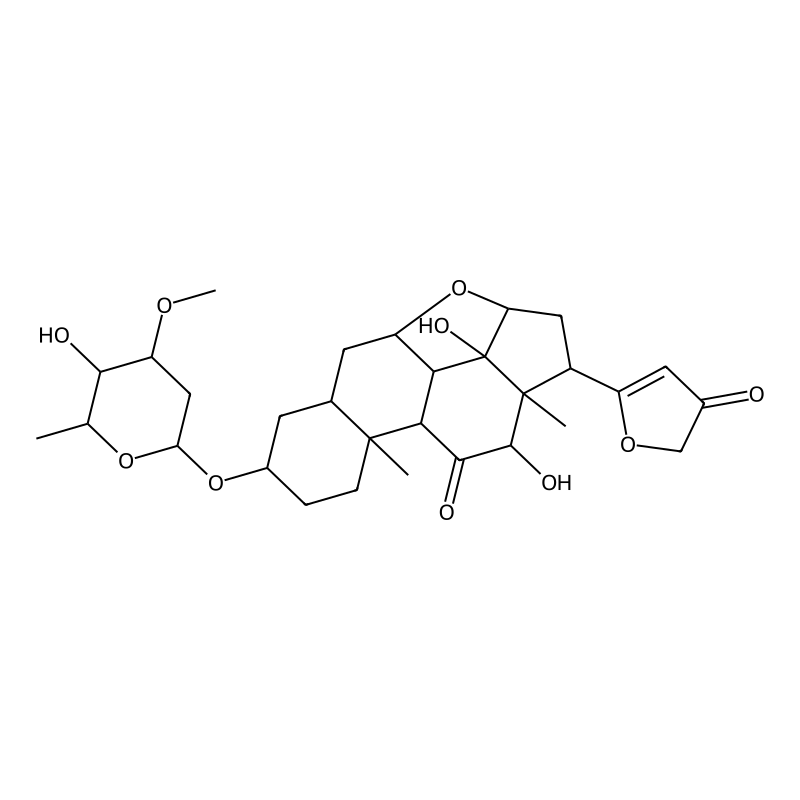 Leptoside