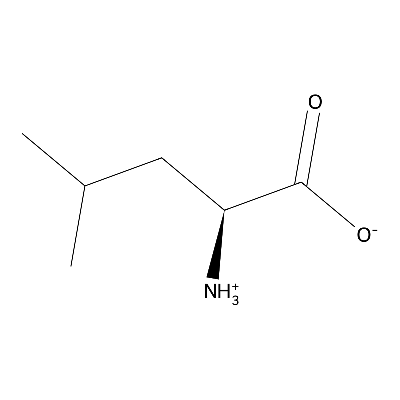 Leucine