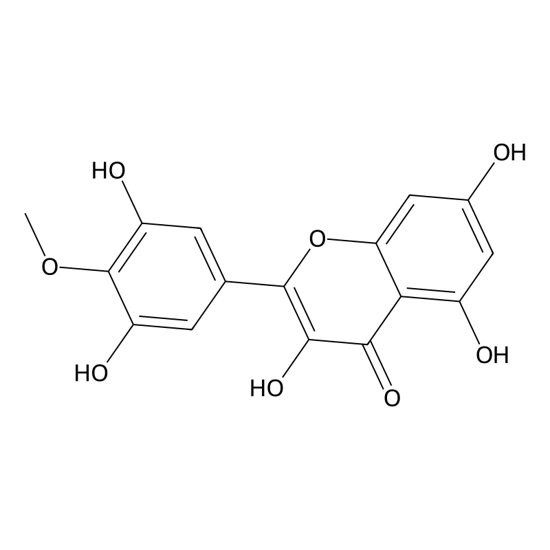 Mearnsetin