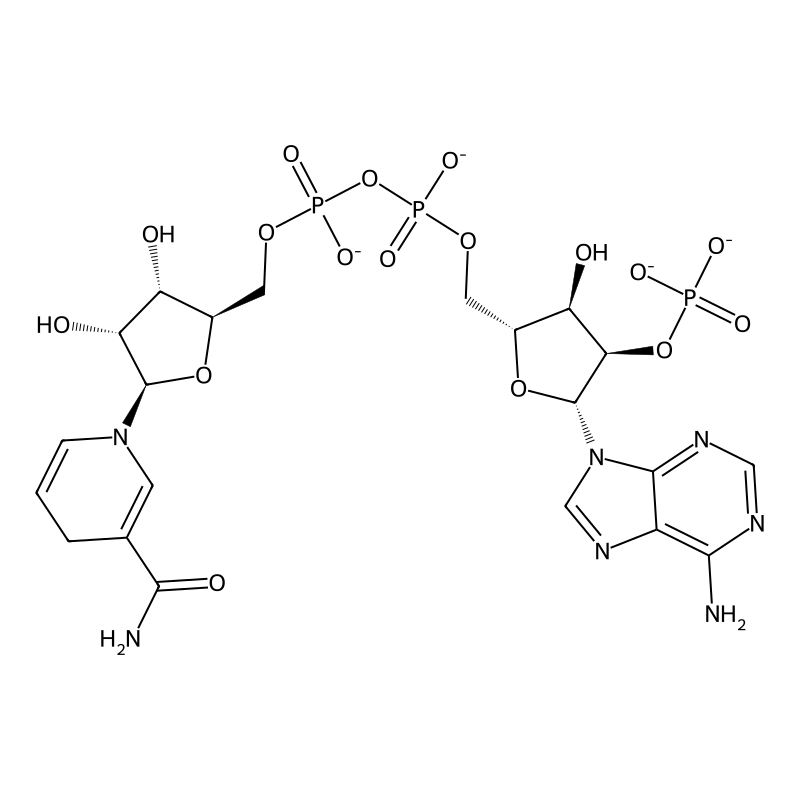 Nadph tetrasodium salt