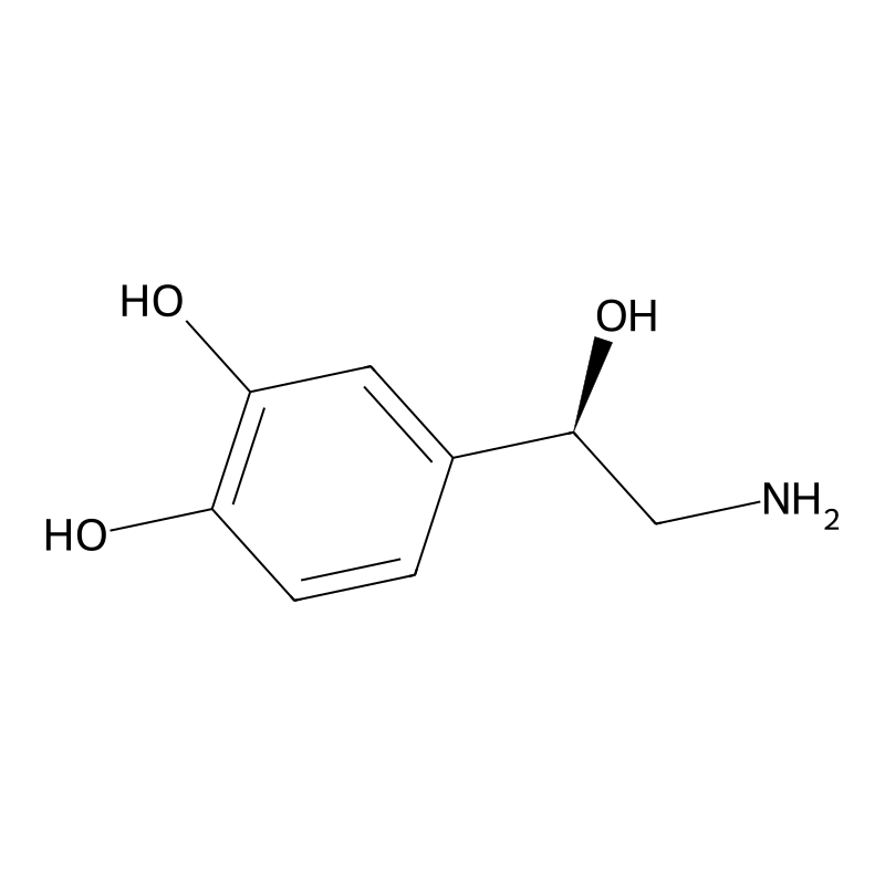 Norepinephrine