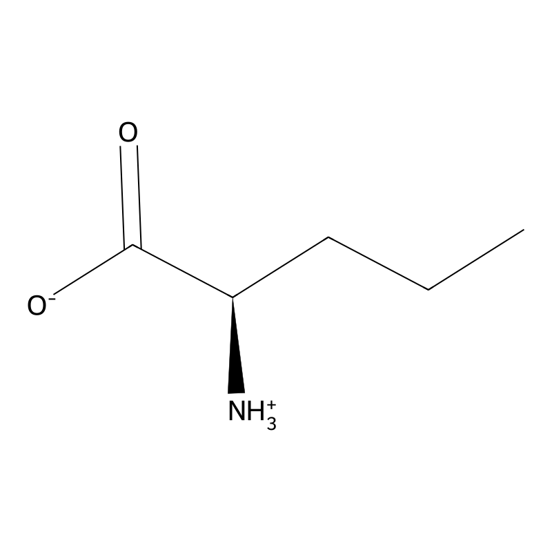 Norvaline