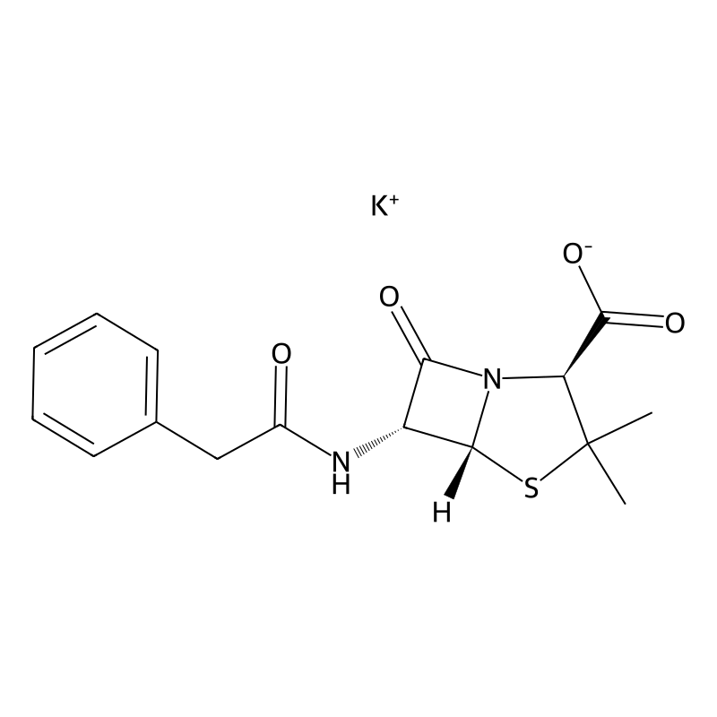 Penicillin G potassium