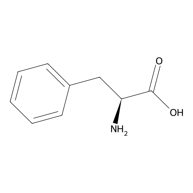 Phenylalanine