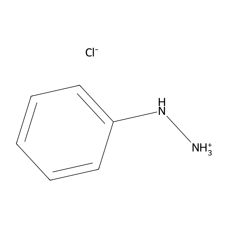 Phenylhydrazine hydrochloride