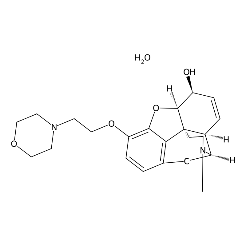 Pholcodine monohydrate