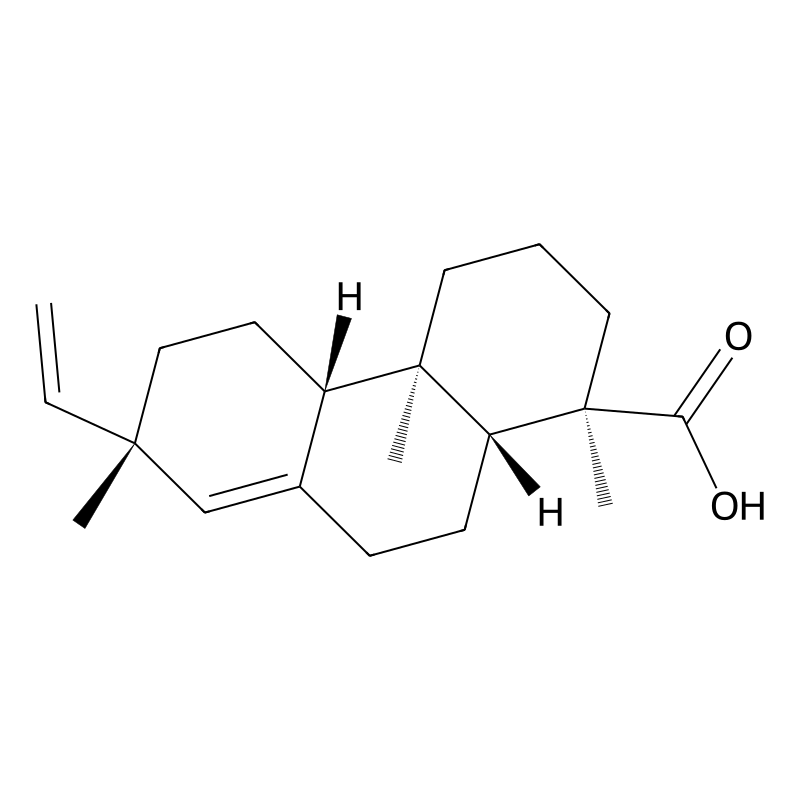 Pimaric Acid