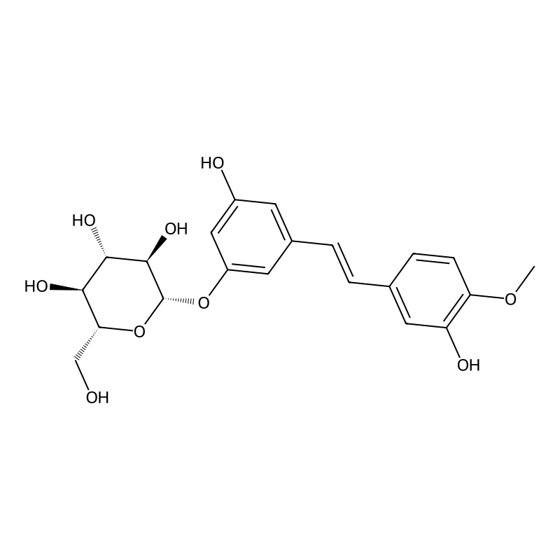 Rhapontin