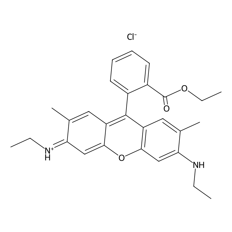 Rhodamine 6G