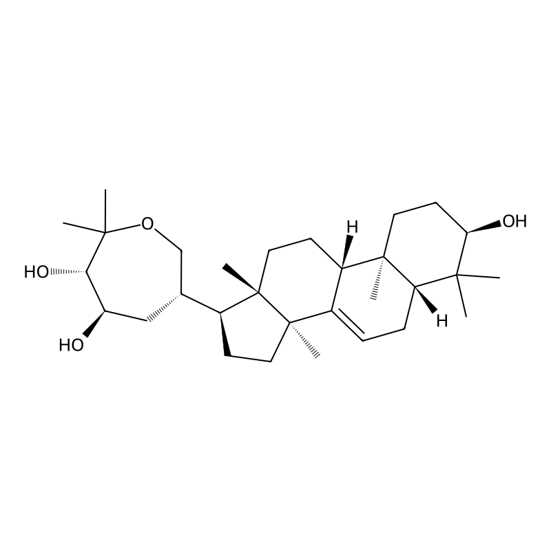 Sapelin B