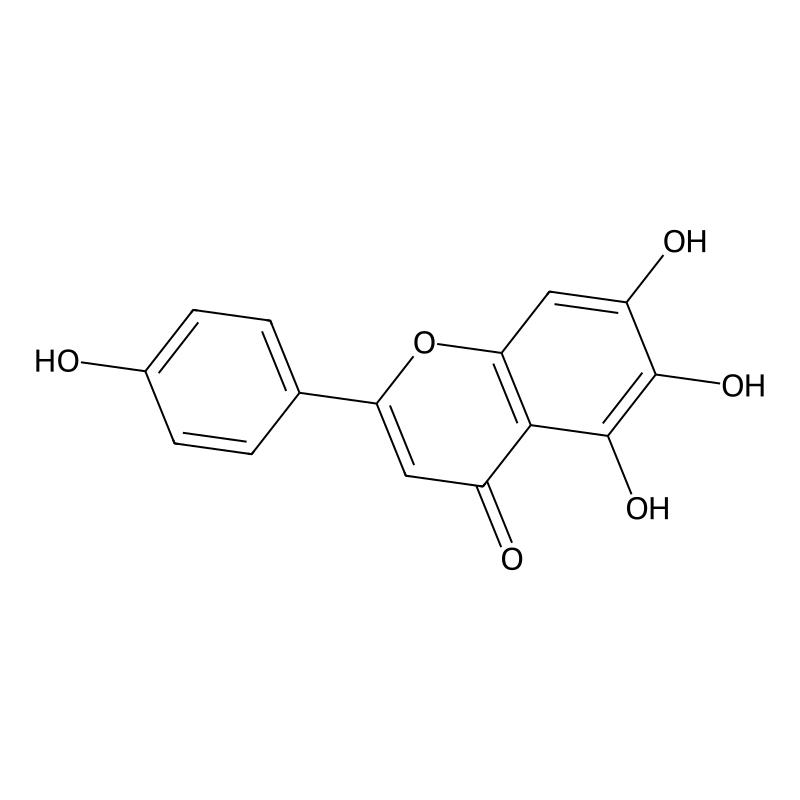 Scutellarein