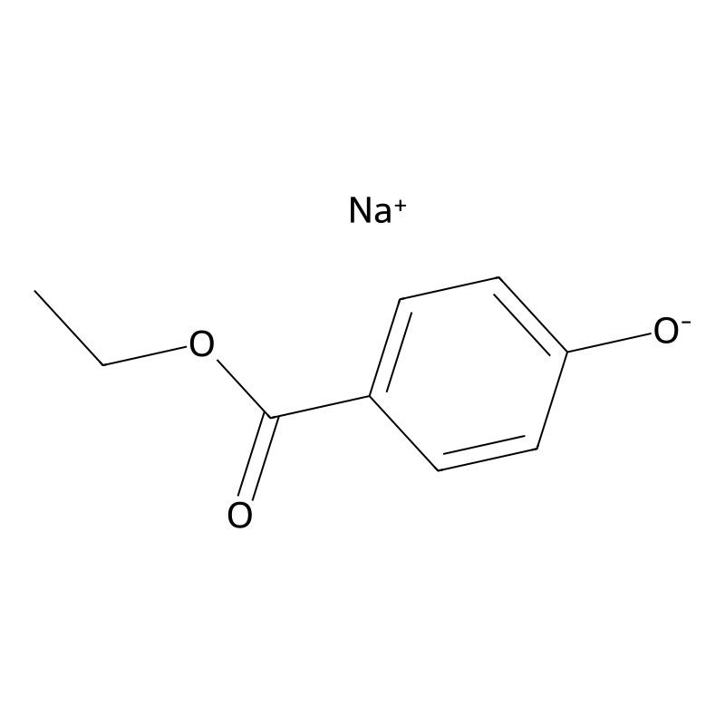 Sodium ethylparaben