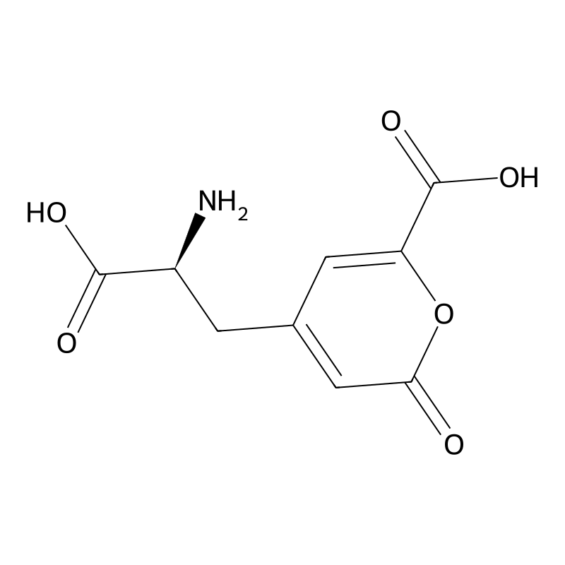 Stizolobic acid