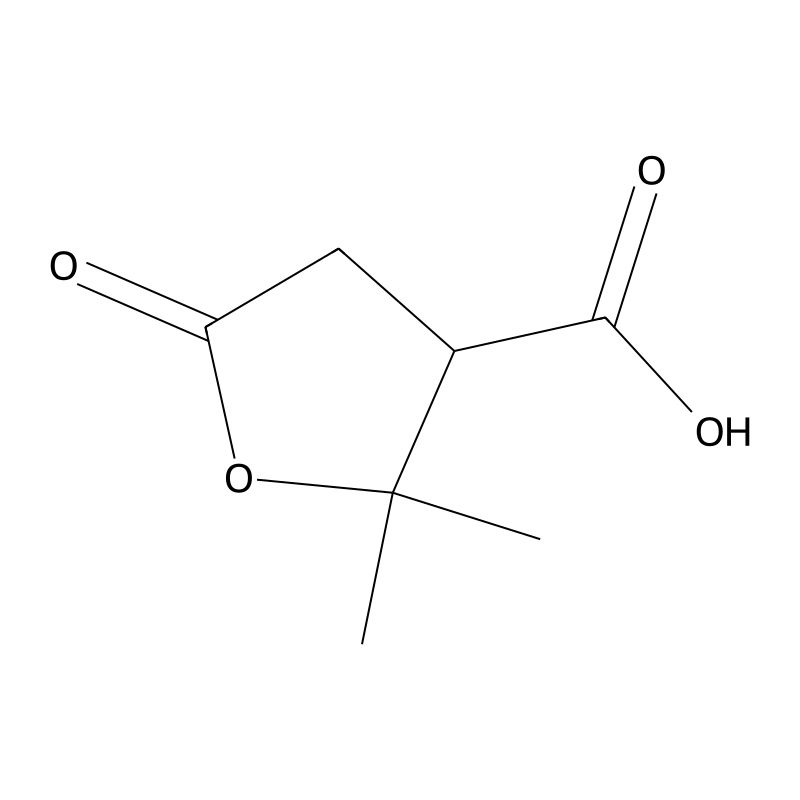 Terebic acid