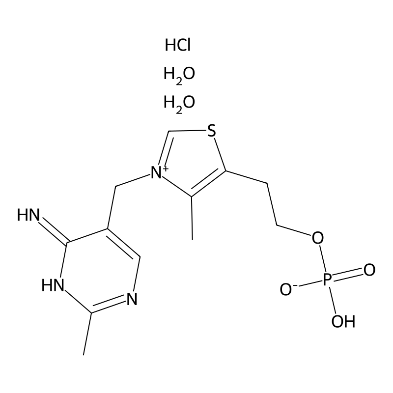 Thiamine phosphate