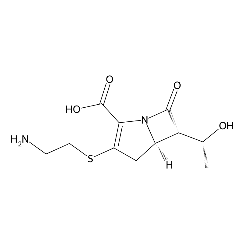 Thienamycin