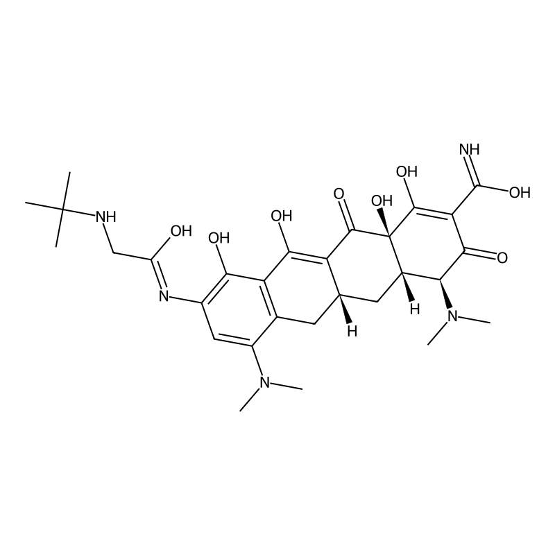 Tigecycline