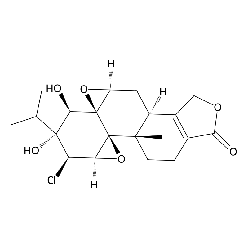 TripChlorolide