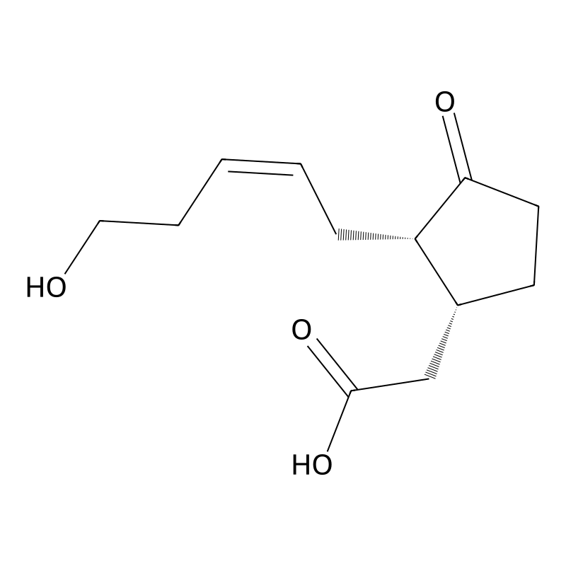 Tuberonic acid