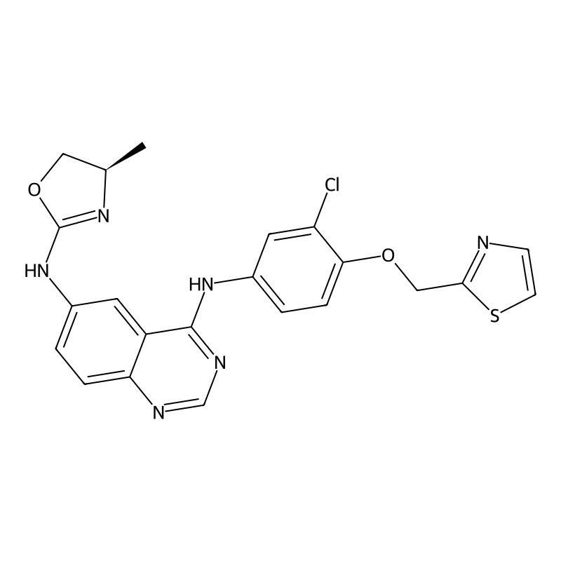 Varlitinib