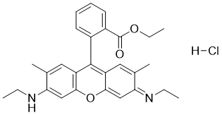 Rhodamine 6G S541363