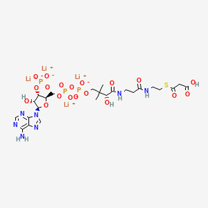 Malonyl coenzyme A tetralithium salt S1495042
