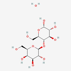 Lactose monohydrate S1893409