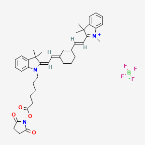 Cy7 NHS ester
