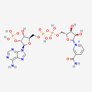 NADP nicotinamide-adenine-dinucleotide phosphate