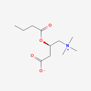 Butyryl-L-carnitine