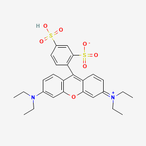 Sulforhodamine B S533297