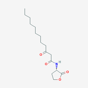 N-3-Oxo-Dodecanoyl-L-Homoserine Lactone S617511