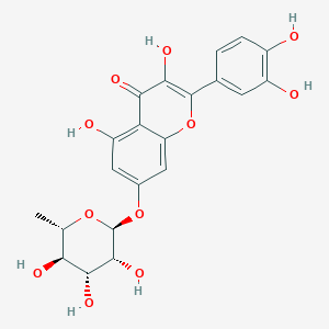 Quercetin 7-O-rhamnoside