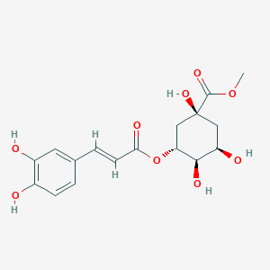 3-O-Caffeoylquinic acid methyl ester