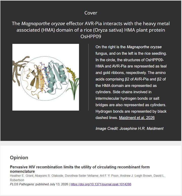 Cover of Erg251 has complex and pleiotropic effects on sterol composition, azole susceptibility, filamentation, and stress response phenotypes