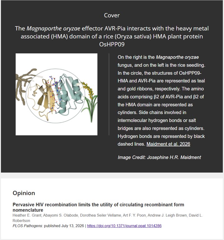 Cover of Step-wise evolution of azole resistance through copy number variation followed by KSR1 loss of heterozygosity in Candida albicans