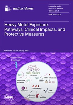 Cover of Trachyspermum ammi Bioactives Promote Neuroprotection by Inhibiting Acetylcholinesterase, A-Oligomerization/Fibrilization, and Mitigating Oxidative Stress In Vitro